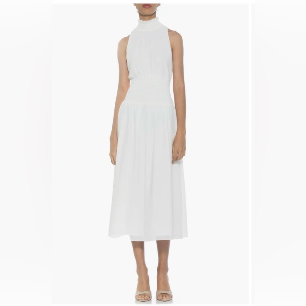 NWT Alexia Admor dress size 8